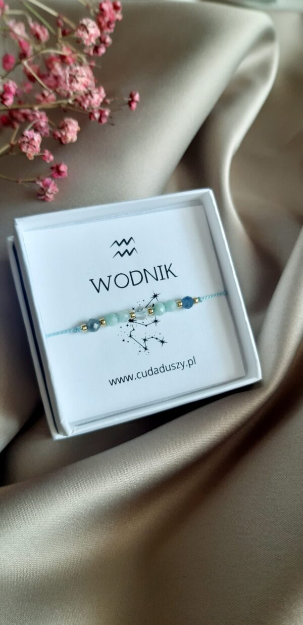 WODNIK Bransoletka Zodiakalna