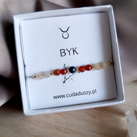 Zodiak BYK