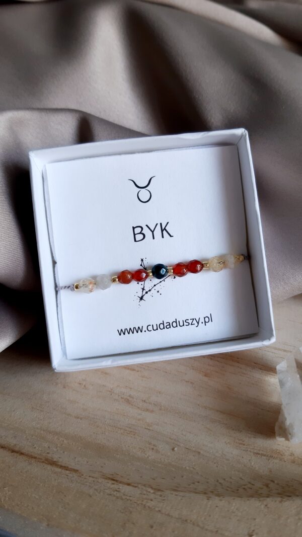 Zodiak BYK