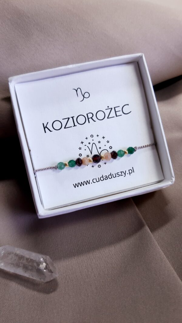 Zodiak Koziorożec