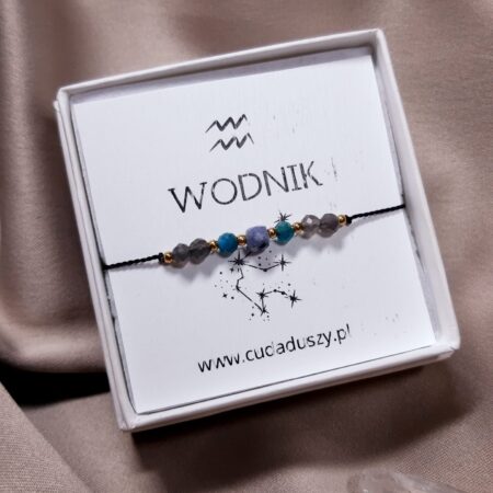 Zodiak: Wodnik